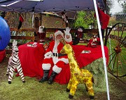 Santa Clausewith the Animals Photograph by Phyllis Spoor