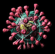 SARS-like Coronavirus #1 Digital Art by Russell Kightley
