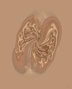 Satin Butterfly Digital Art by Judi Suni Hall Satin Butterfly Digital Art by Judi Suni Hall