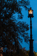 Savannah Harbor Light Savannah Georgia Photograph by Dawna Moore Photography