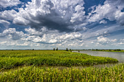 Savannah Wildlife Refuge  Photograph by Bernd Laeschke