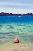 Schooners, The Seychelles Photograph by Tim Holt