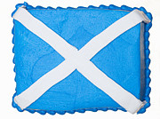 Scottish Cake Photograph by Diane Macdonald