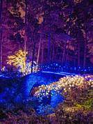 Stone Bridge - crop Photograph by Daniel George