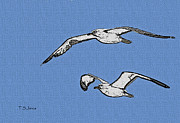 Sea Gull Mates Photograph by Tom Janca