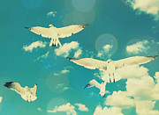 Seagulls at the Beach Photograph by Patricia Awapara
