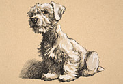 Sealyham Pastel by Cecil Charles Windsor Aldin