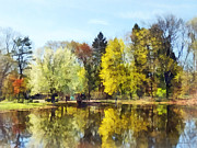 Seasons - Spring in the Park Photograph by Susan Savad Seasons - Spring in the Park Photograph by Susan Savad