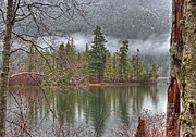 Secluded Cove Photograph by Randy Hall