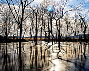 Serenity Frozen 2 Photograph by Kevin Anderson