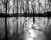 Serenity Frozen Photograph by Kevin Anderson