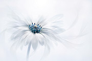 Serenity Photograph by Jacky Parker