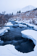 Settling Into Winter Photograph by Tim Newton