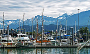 Seward Alaska 2 Photograph by Aimee L Maher ALM GALLERY