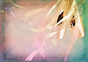 Shabby Chic Ballet I Photograph by Theresa Tahara