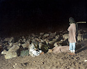 Shepherds With Flock, C1919 Photograph by Granger