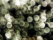 Shimmer From Sunlit Water Droplets Photograph by Science Photo Library