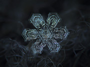 Snowflake photo - Shine Photograph by Alexey Kljatov