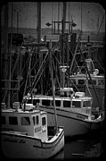 Shrimp Boats Eastport Maine Photograph by Rudy Viereckl
