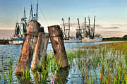 Shrimp Dock Pilings Photograph by Scott Hansen Shrimp Dock Pilings Photograph by Scott Hansen