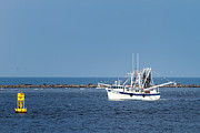 Shrimpin' Photograph by Dawna Moore Photography