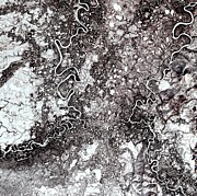 Siberian Wetlands Photograph by Science Photo Library