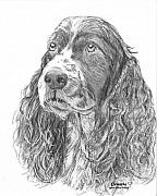 Sibley Drawing by Quwatha Valentine Sibley Drawing by Quwatha Valentine