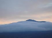 Silence Photograph by Karin Ravasio