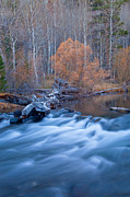 Silence Of The Fall Photograph by Jonathan Nguyen