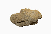 Siliceous Limestone Photograph by Science Photo Library