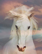 Silver Boy Photograph by Melinda Hughes-Berland