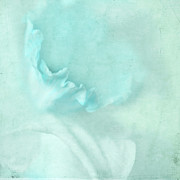 Singing the Blues Photograph by Bonnie Bruno