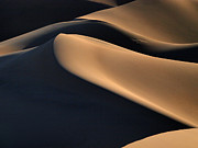 Sinuous Dunes  Photograph by Joe Schofield