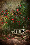 Sit With Me Here Photograph by Laurie Search