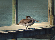 Sitting on the Dock of the Bay Photograph by Kim Hojnacki Sitting on the Dock of the Bay Photograph by Kim Hojnacki
