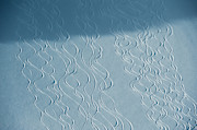 Ski Tracks Emerge From The Shadows Photograph by Topher Donahue