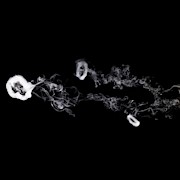 Smoke Rings Photograph by Science Photo Library