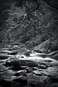 Smokey Mountain Stream No.558 in Black and White Photograph by Randall Nyhof Smokey Mountain Stream No.558 in Black and White Photograph by Randall Nyhof