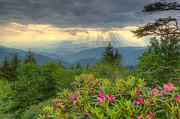 Great Smoky Mountains National Park Photograph by Doug McPherson
