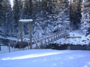 Snowy Walking Bridge Photograph by Vivian Martin