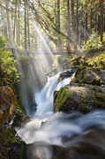 Sol Duc Falls Photograph by Michael Breitung