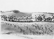 Soldiers Pulling Field Guns Photograph by Science Photo Library