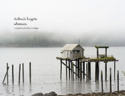 Solitude Begets Whimsies Photograph by Mary Lee Dereske