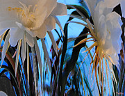 Some Serious Flowers Photograph by Vallee Johnson
