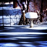 South For Winter Photograph by Frank J Casella