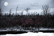 South to the Moon Photograph by Evie Carrier