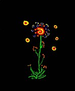 Space Flower Painting by James and Donna Daugherty