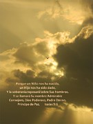 Spanish Seagull in Clouds Photograph by Gallery Of Hope 