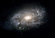 Spiral Galaxy Ngc3949 Photograph by Science Photo Library
