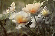 Spring Photograph by Charlie Roman